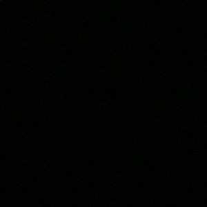 Meet your Posher, Mia